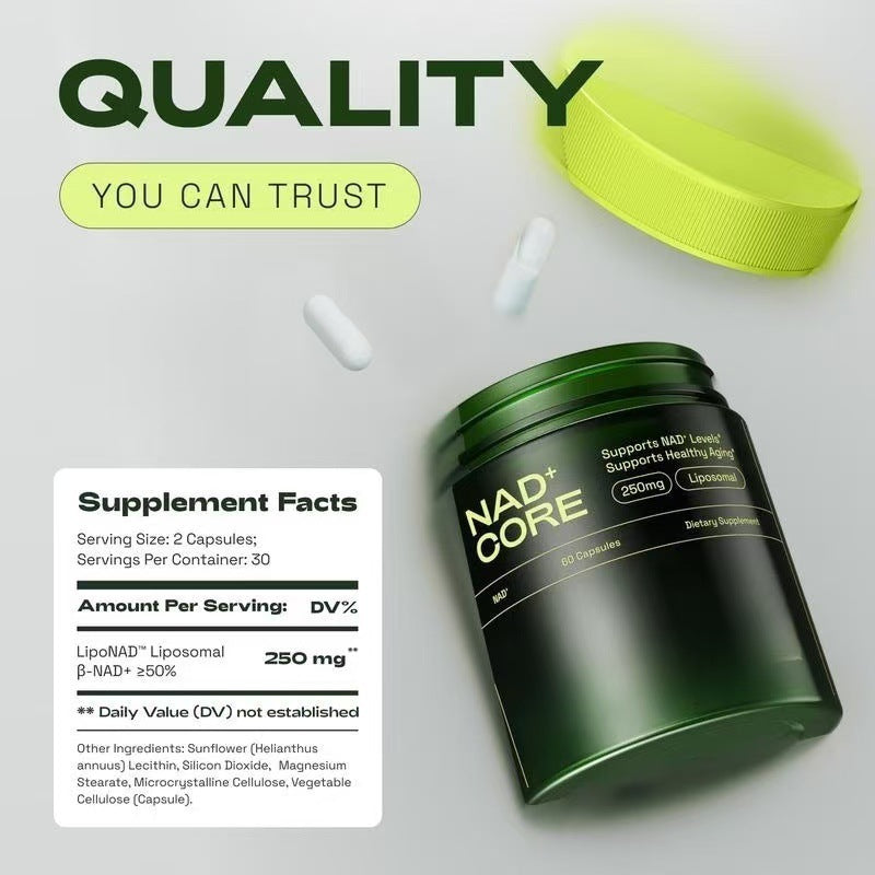 Cata-Kor Nicotinamide Capsules NAD Supplement